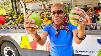 Grow-on-the-Go brings healthy food and dignity to low-income Niagara 'food deserts'