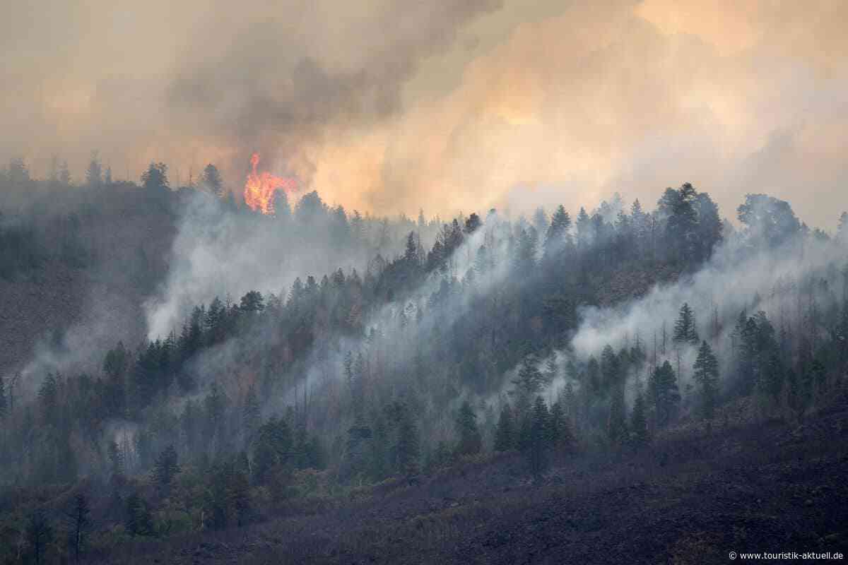 Waldbrände in Griechenland und Kroatien: Ferienorte evakuiert