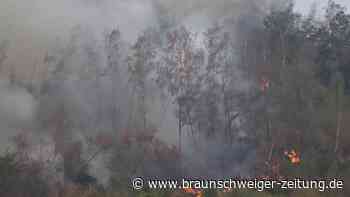 Waldbrand Hürtgenwald: Bundeswehr rückt aus – mehrere Hubschrauber im Einsatz