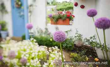 Tuintips voor de derde week van augustus: zo overleeft je tuin de hitte