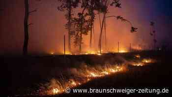 Wegen Waldbrandgefahr: Diese Vergehen werden jetzt richtig teuer
