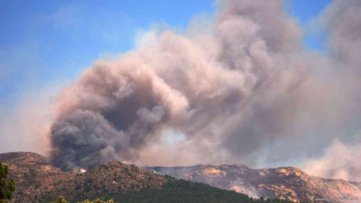 Expert explains what to do if your flight is cancelled due to European wildfires