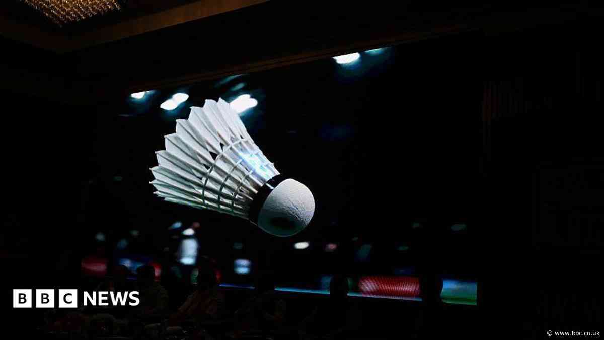 Delhi's unusual challenge: Keeping monkeys and pigeons away from top badminton event