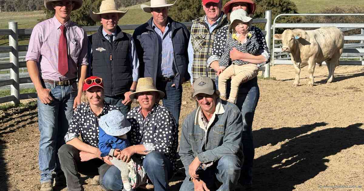 Wakefield Charolais deliver proven structure and figures to repeat clients