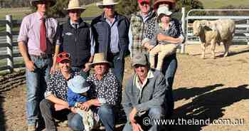 Wakefield Charolais deliver proven structure and figures to repeat clients