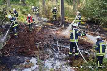 Waldbrand in Flöha: Erste Details zur Ursache
