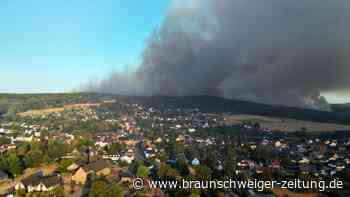 Waldbrand bei Hitze: Das bedenken viele Urlauber nicht