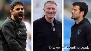 Strap in for Welsh football's most fascinating season in 30 years - and Wales dare not fail