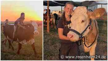 Vor dem Ochsenrennen in Steinkirchen: Exklusive Einblicke ins Training mit „Wasdl“ und „Enzian“