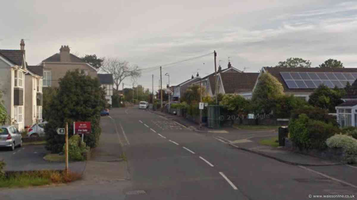 Woman dies and passenger injured after crash in Swansea