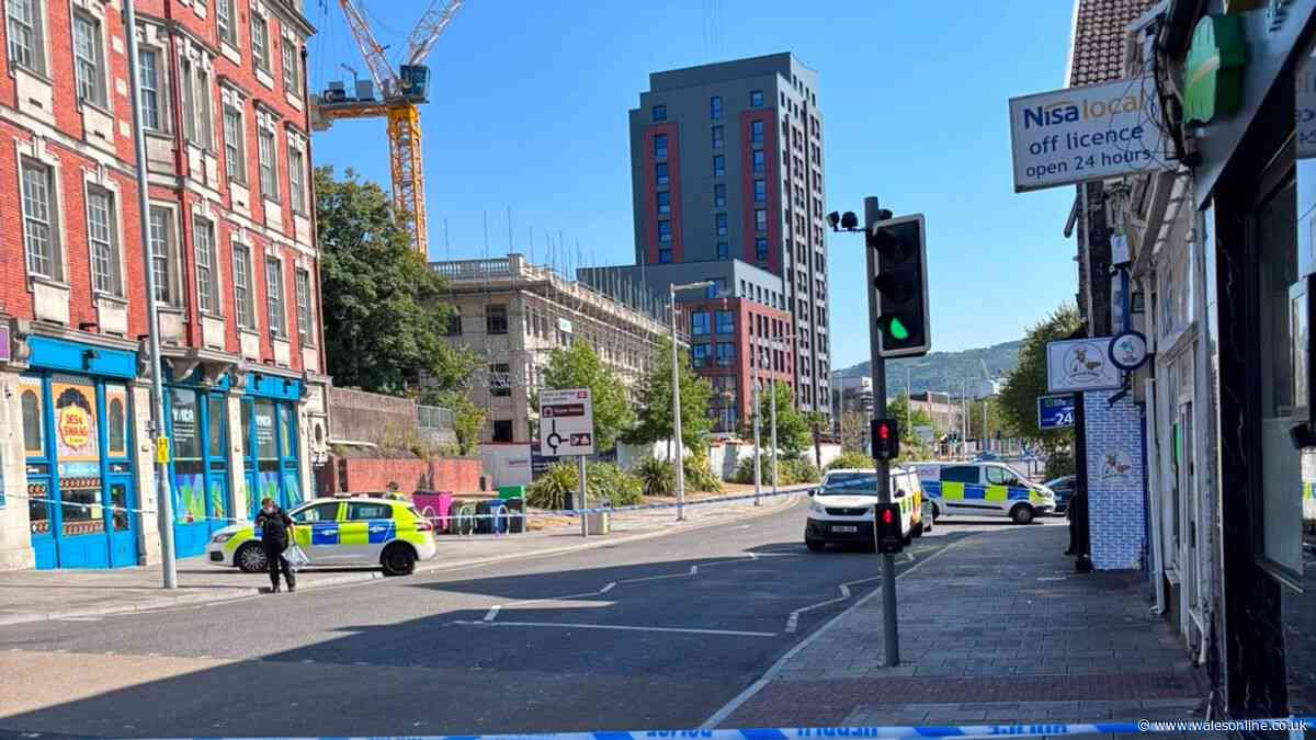 Person charged after alleged stabbing in Swansea left man seriously injured