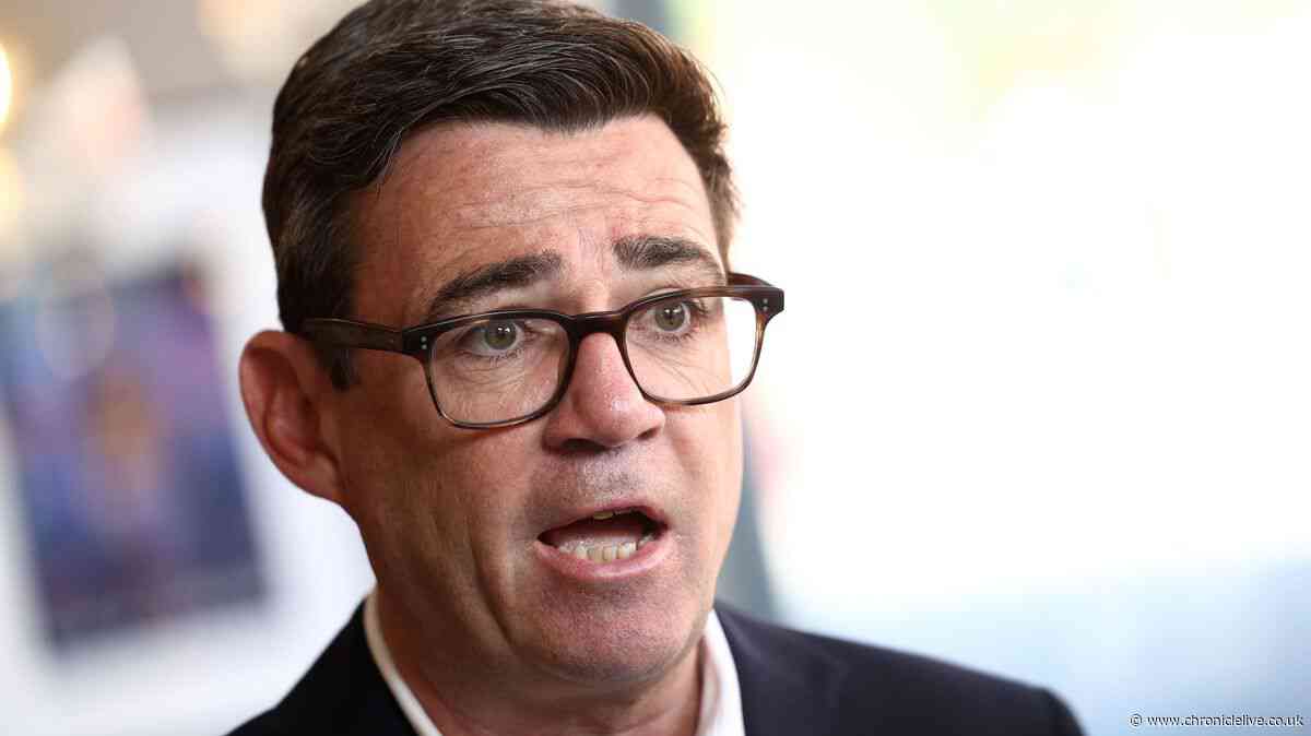 Fans demand vegan version after Andy Burnham sparks Greggs menu change