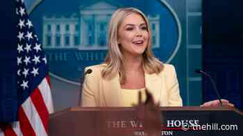 Trump faces near-impossible task of replacing Karoline Leavitt