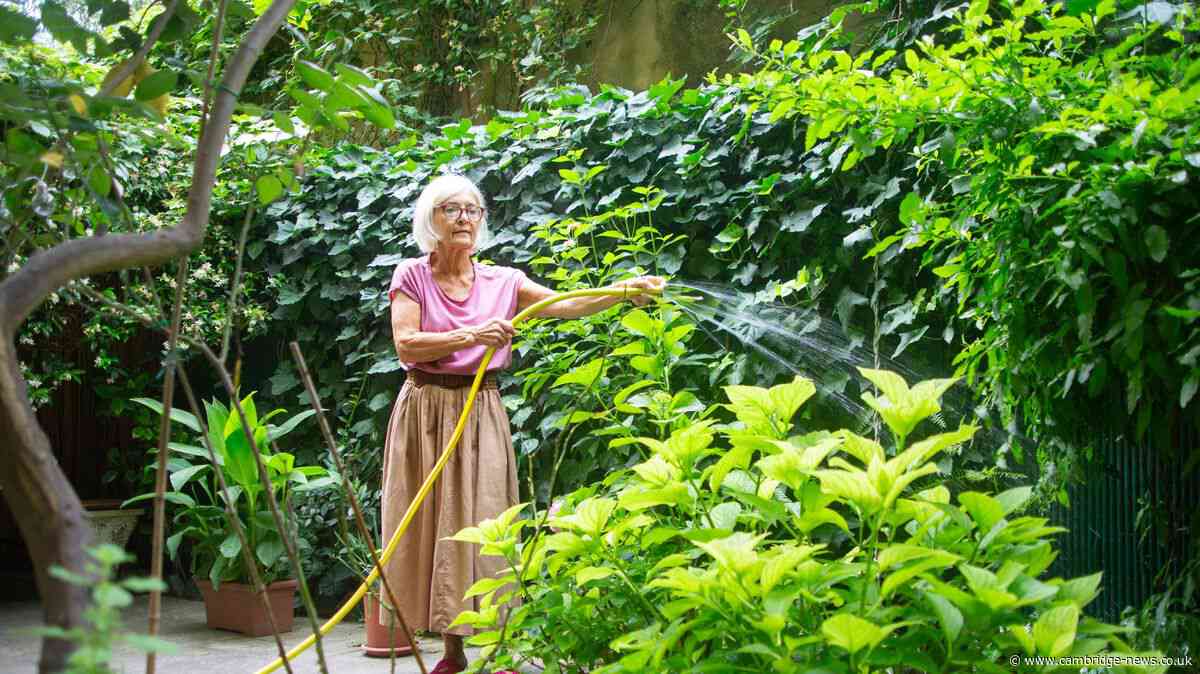 'I accidentally watered garden in hosepipe ban and was horrified by neighbour's reaction'