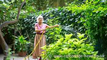 'I accidentally watered garden in hosepipe ban and was horrified by neighbour's reaction'