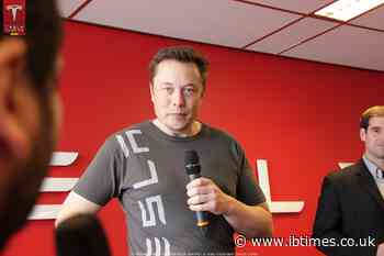Elon Musk Earned Tesla Worker's Annual Salary Every 4.23 Seconds: The 2.5M-to-1 Pay Gap Explained