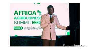 Over 500 Stakeholders Gather In Ibadan As Farmdev Consult Redefines African Agriculture