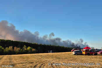 Waldbrand in Hürtgenwald: Gey evakuiert – Hunderte Kräfte im Einsatz