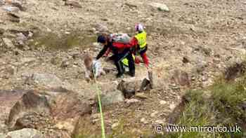 Choppers scrambled as nine Brits with babies in prams stuck on Austrian mountain