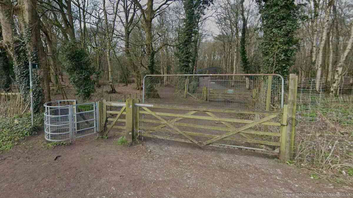 Police hunting man who exposed himself in woods near major Cheshire road