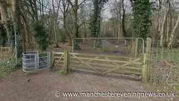 Police hunting man who exposed himself in woods near major Cheshire road