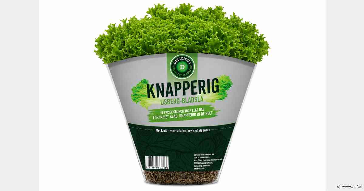 Staay levert alternatief voor traditionele ijsbergsla uit kassen Deliscious
