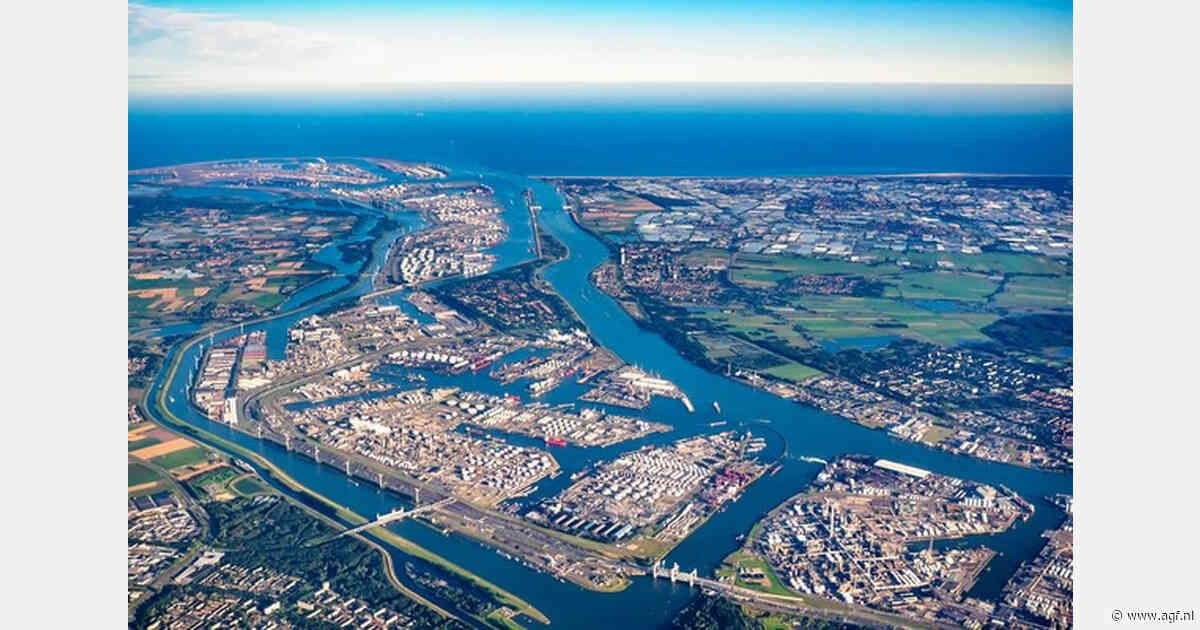 RWG versnelt uitbreiding containerterminal op Maasvlakte 2
