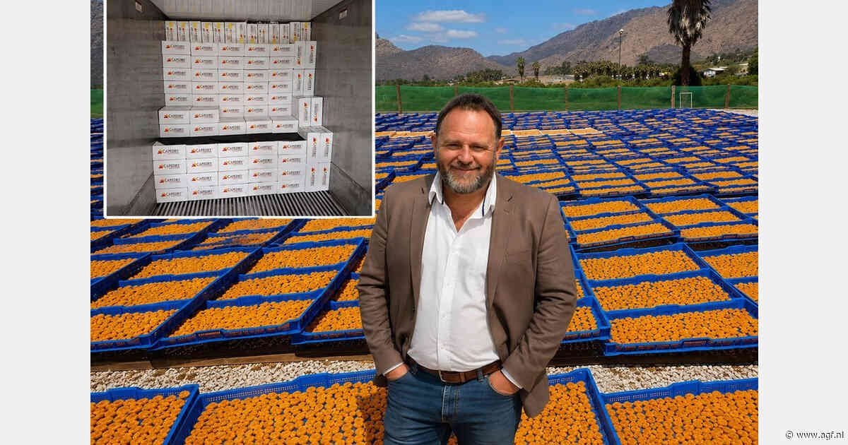 Vocht en schimmel grootste uitdaging bij gedroogd fruit: nieuwe coating biedt oplossing