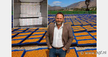 Vocht en schimmel grootste uitdaging bij gedroogd fruit: nieuwe coating biedt oplossing
