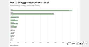 Aubergines en courgettes: Italiaans-Spaanse dominantie