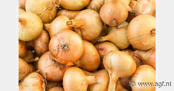 Exportcijfers uien week 26