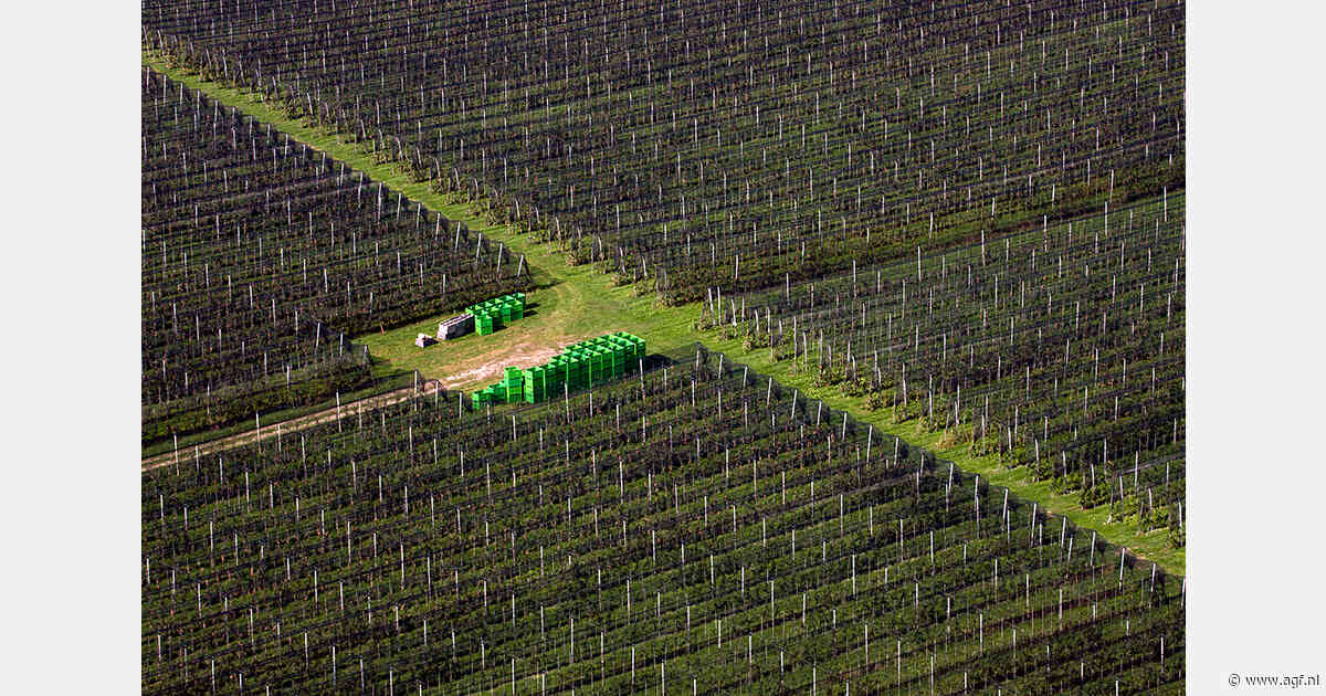 Van vrijwillige belofte naar harde eis: hoe regeneratieve landbouw de keten verandert