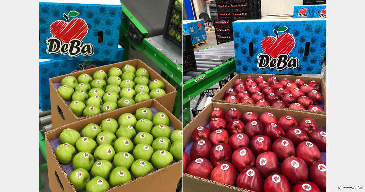"We verwachten dit jaar twee keer zoveel appelen te oogsten"
