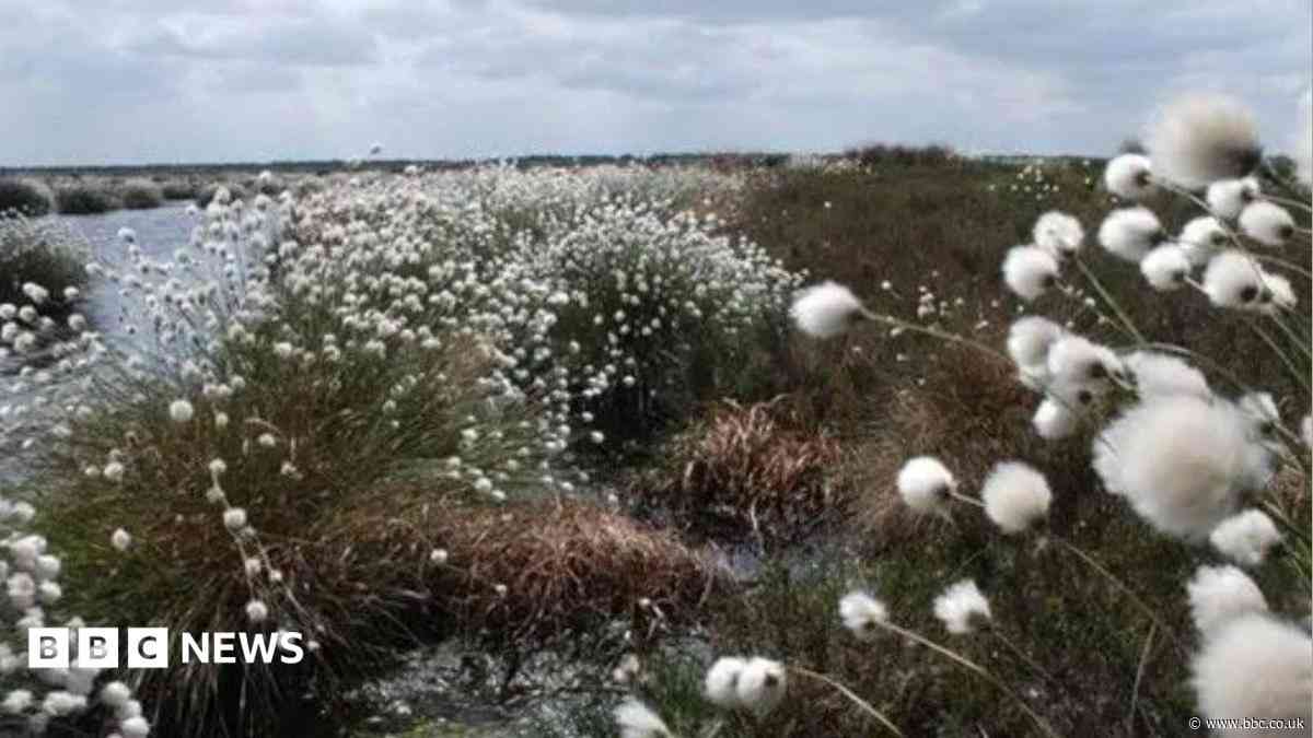Nature reserve closes due to wildfire risk