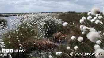 Nature reserve closes due to wildfire risk