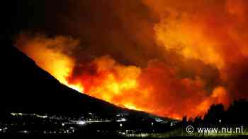 36 gewonden door grote natuurbrand bij Kroatische kustplaats