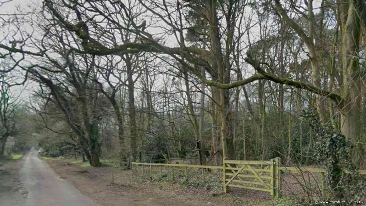 Man exposed himself at popular Cheshire dog walking spot