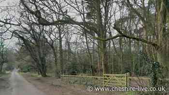 Man exposed himself at popular Cheshire dog walking spot