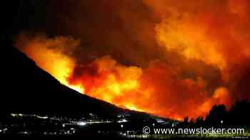 36 gewonden door grote natuurbrand bij Kroatische kustplaats