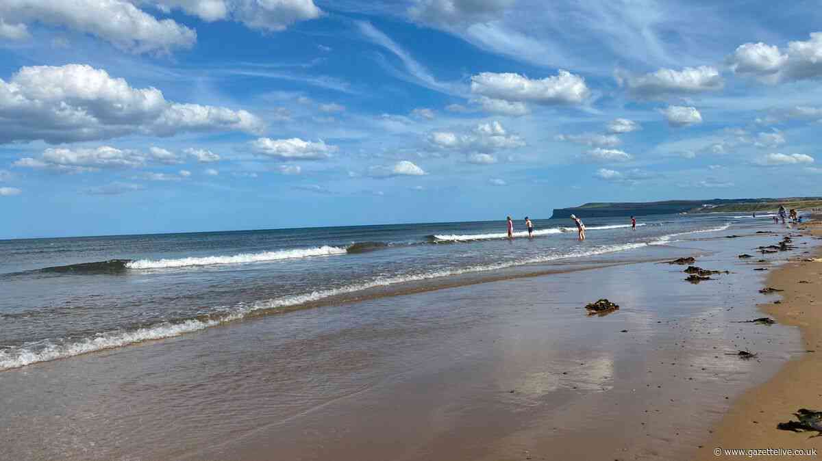 Teens 'urinating up against caravans', underage boozing and fighting sparks seaside dispersal order