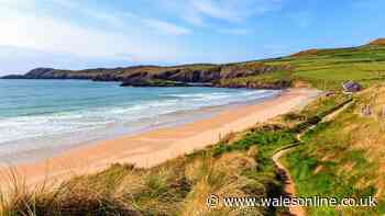 Visitors on 79 Welsh beaches this August could face £1,000 fines for little-known rule