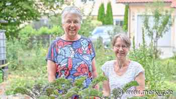 Türkenfelder Naschgarten wird zum Naturgarten – nur noch drei Aktive im Team