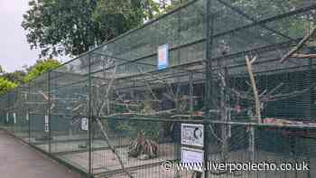 Churchtown aviary set to close as birds are not 'ornaments to be displayed'