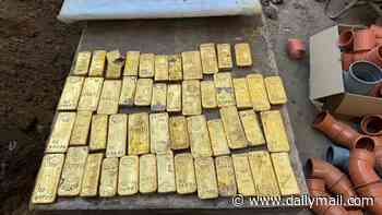 Builders find hidden treasure chest filled with gold worth £7.5million while doing renovation work in a cellar