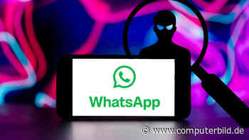 Scam Alert: WhatsApp testet Funktion gegen Betrug