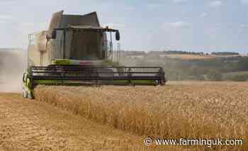 Spring barley yields head for record low as harvest struggles