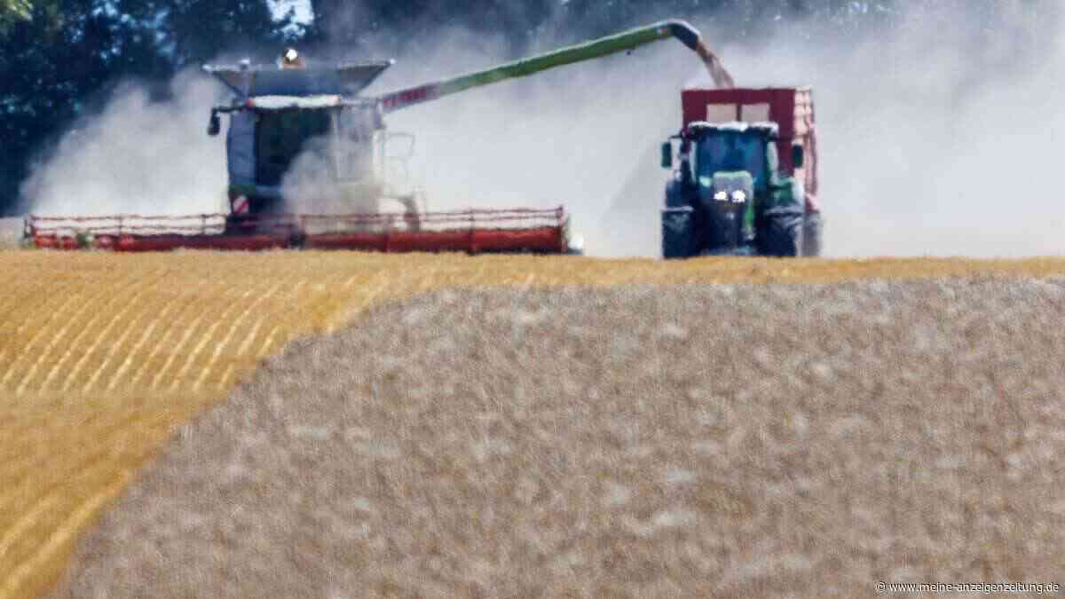 Bauernverband befürchtet teils totalen Ernteausfall