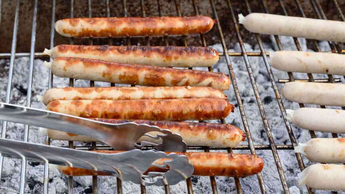 Holzkohle, Briketts, Gas oder Elektro? Barbecue-Guide für die Grillparty