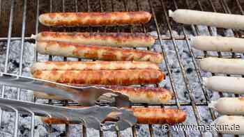 Holzkohle, Briketts, Gas oder Elektro? Barbecue-Guide für die Grillparty