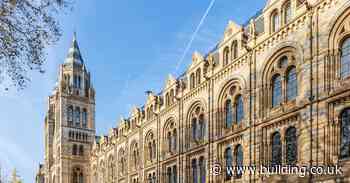 Haworth Tompkins wins Natural History Museum gallery refurb job